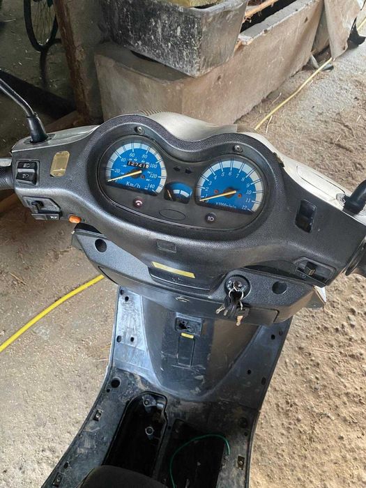 Scuter 125cm acte germania