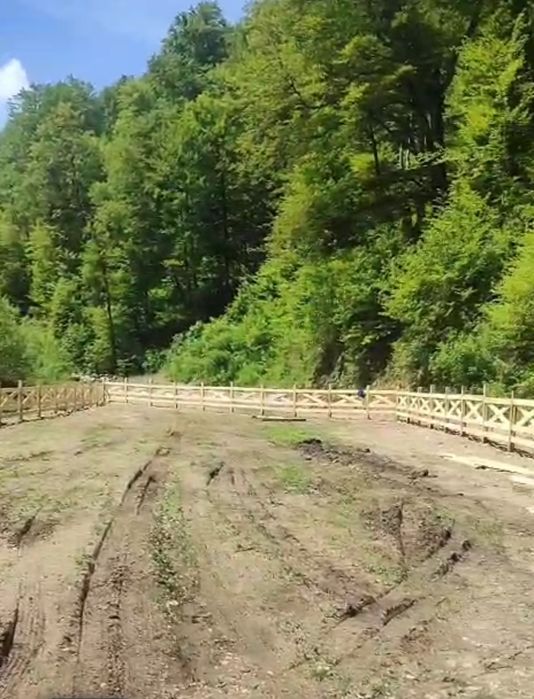 Stalpi de gard din stejar