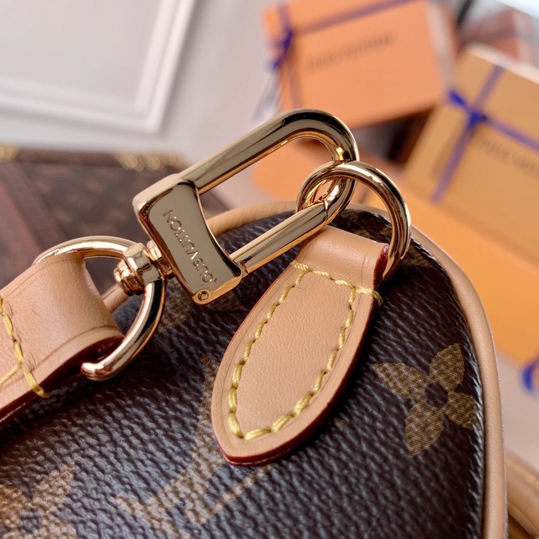 Geanta LV Louis Vuitton Speedy Nano 16cm, Premium