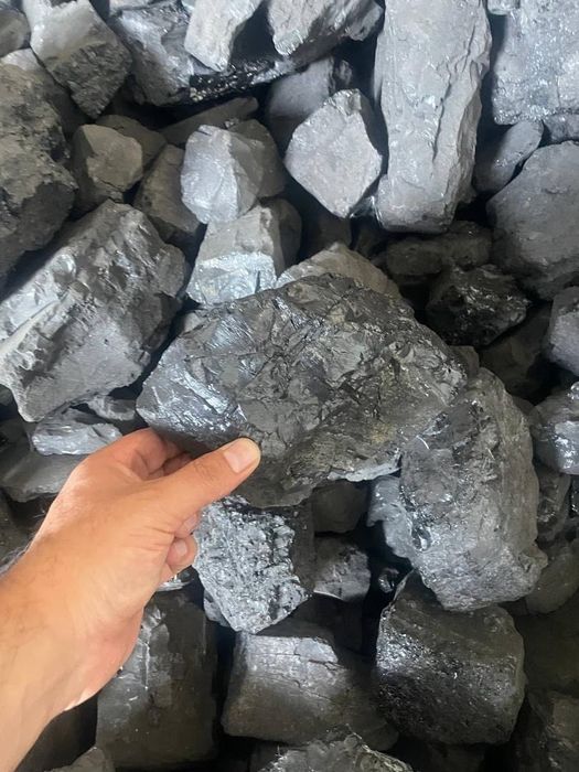 Кумр бор щубаркул козокстон Олий навли копли