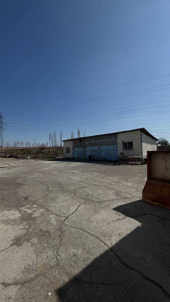 Срочно продаётся земля Кибрай Чинобод 30-минут от центра города 85 сот