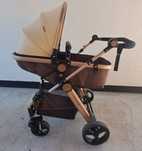 Carucior 2 in 1 Little Bird