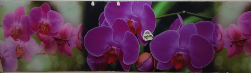 Geam printat bucătărie