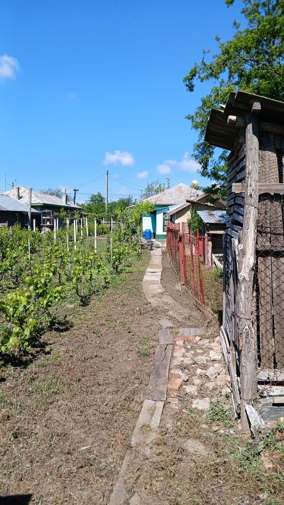 Vând Casă caramida