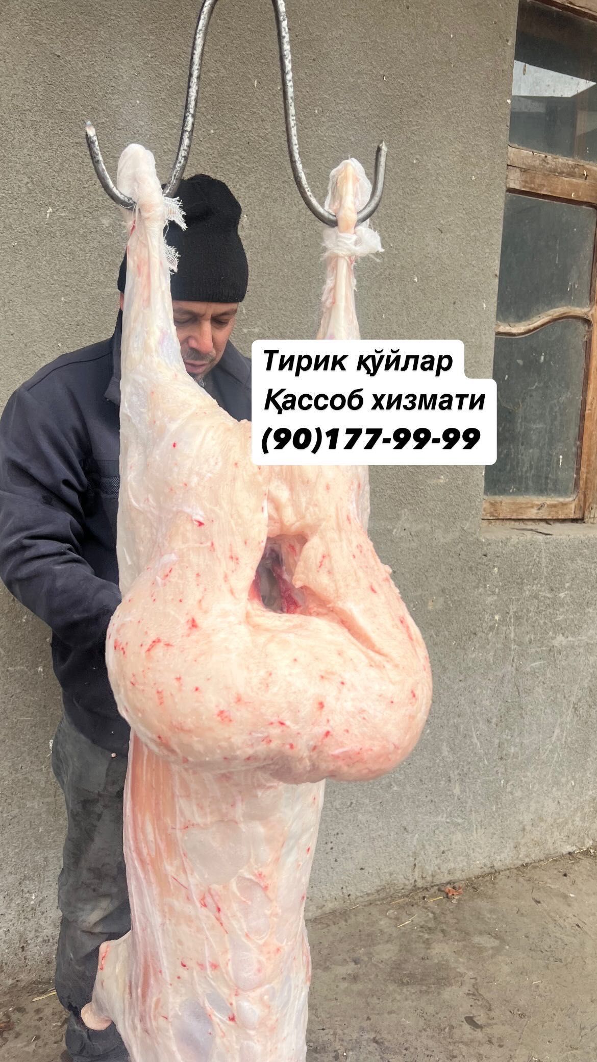 Қўчқорлар бор, обориб сўйиб берамиз.