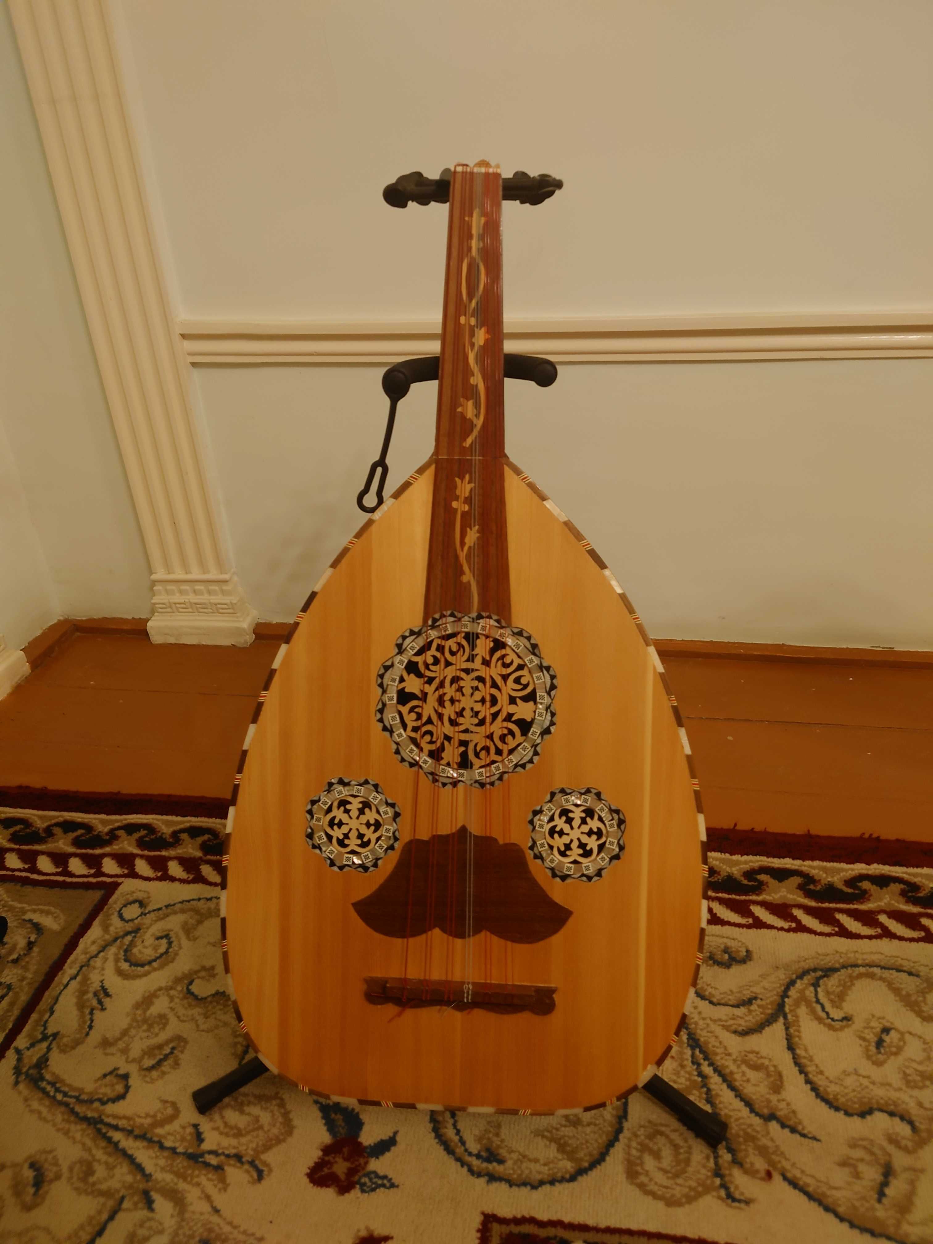 Arabic professional musician oud