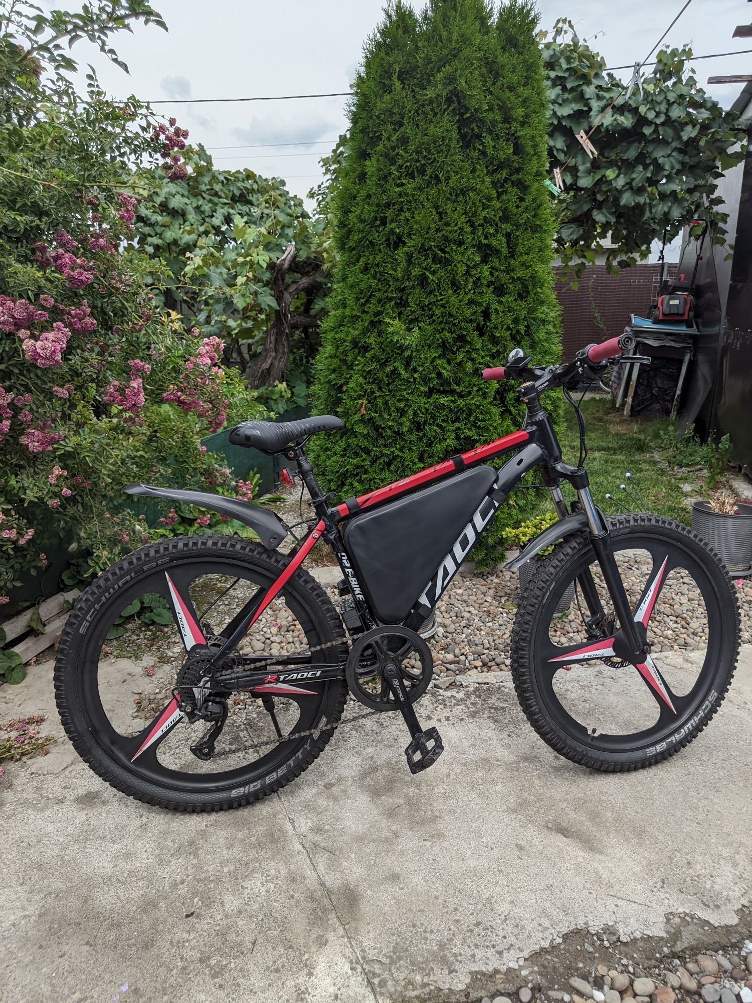 Bicicleta electrica