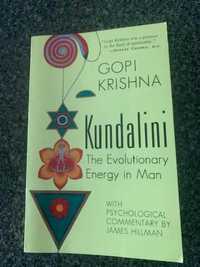 Kundalini: The Evolutionary Energy in Man Paperback