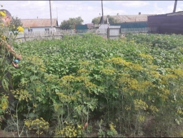 Продам часть дома