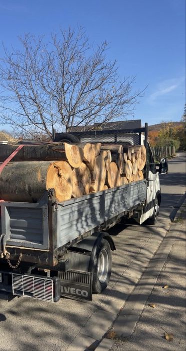 Vând lemn de esenta tare.