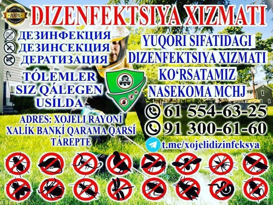 Dizenfeksiya xizmeti