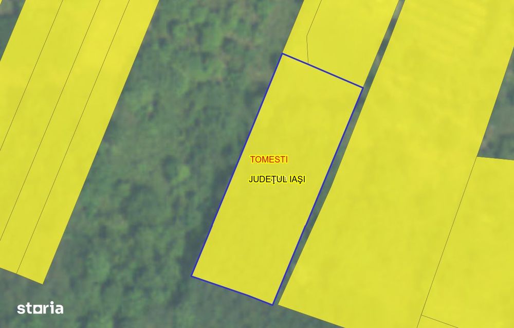 Teren 1260 mp Vladiceni
