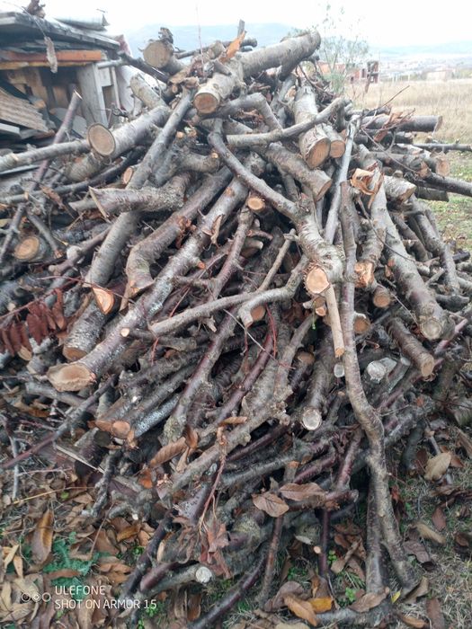Дърва за огрев. От изкарани череши