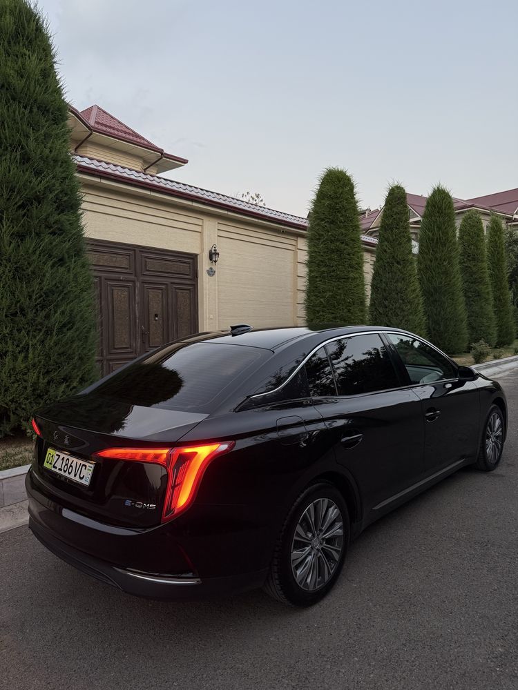 Hongqi eq-5 450km