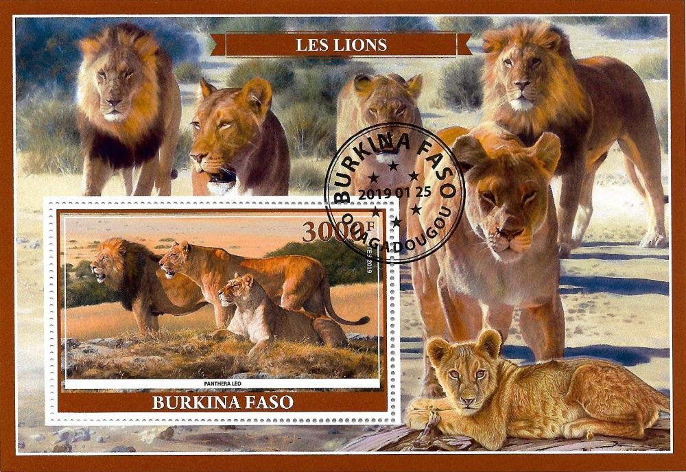 Super timbre colita stampilata Burkina Faso, fauna, animale, LEUL