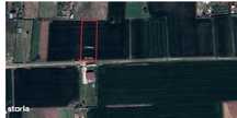 Caciulati, Ilfov, teren intravilan 1.500mp, deschidere 24.77ml