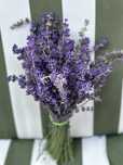 Lavanda Angustifolia - Parfum Intens