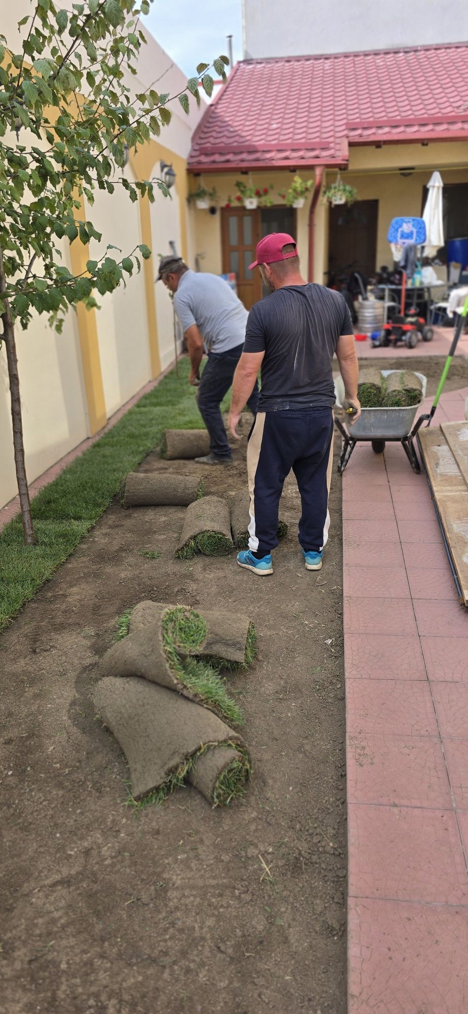 Servicii peisagistică!! Rulouri gazon , irigații automatizate