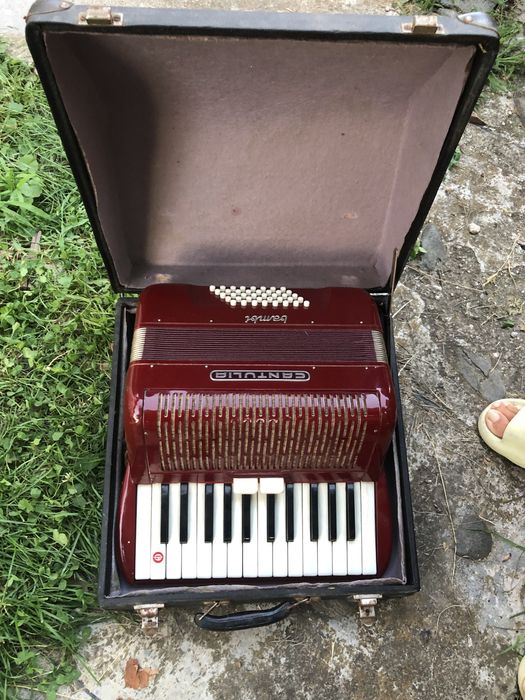 Acordeon Cantulia Bambi