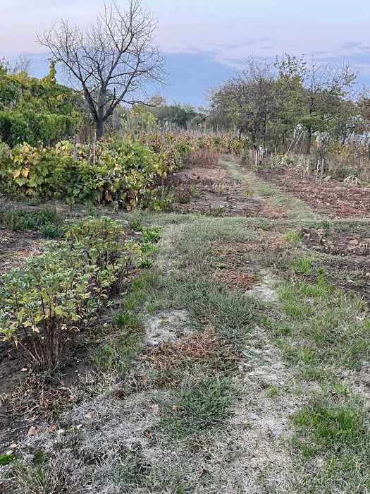 Casă de vânzare în comuna Leu
