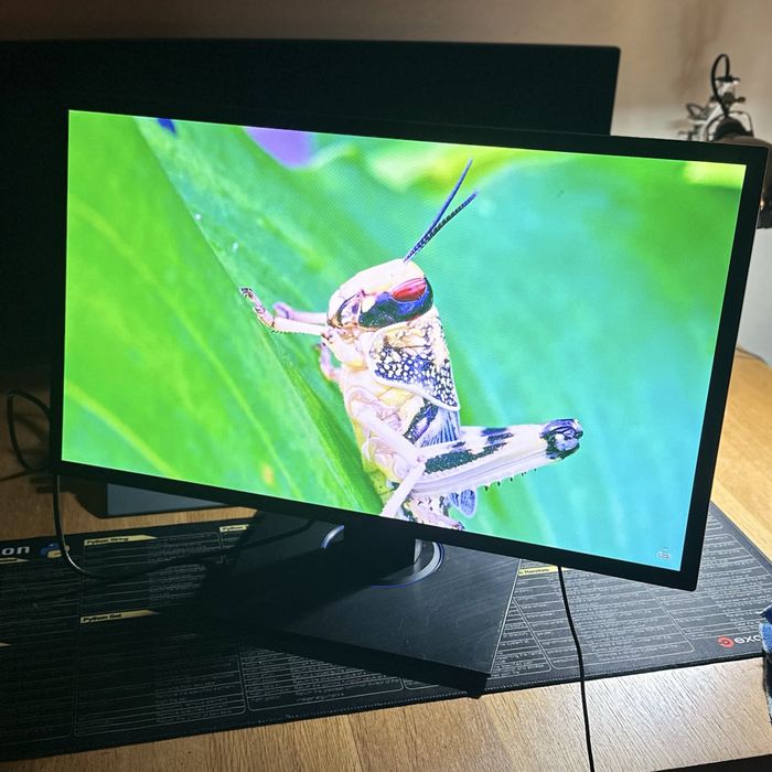 Monitor Asus VG245 24"