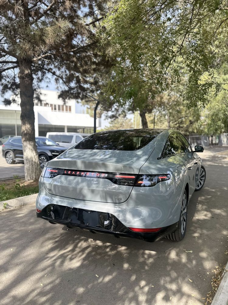 LEAP MOTOR C01 316km русский