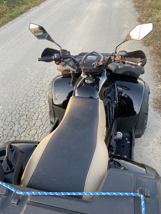 Linhai aniversary 300 4x4