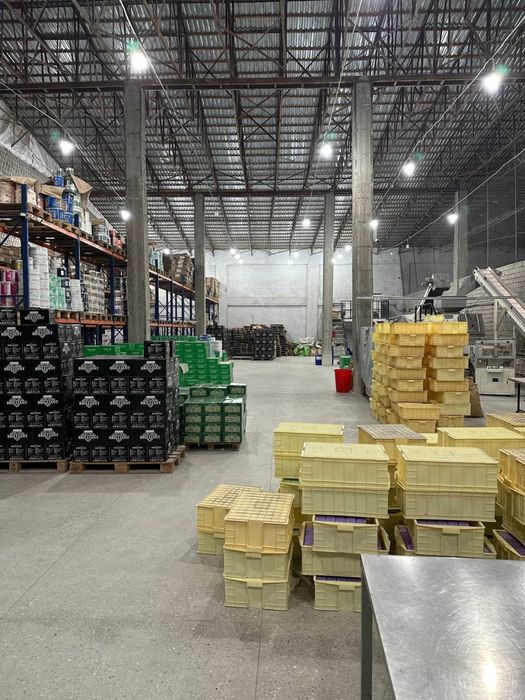 Готовый завод (бизнес) по производству туалетного мыла