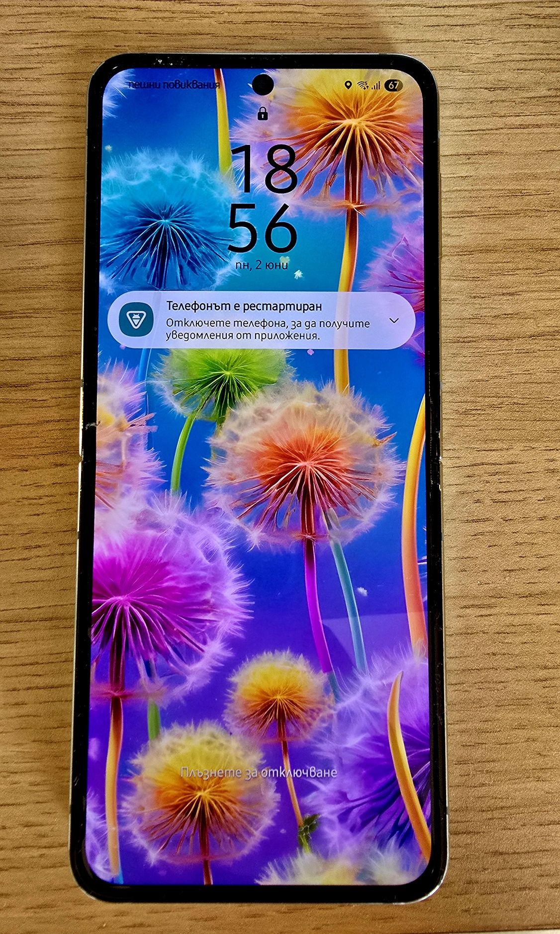 Samsung Galaxy Z Flip 5 256GB Mint