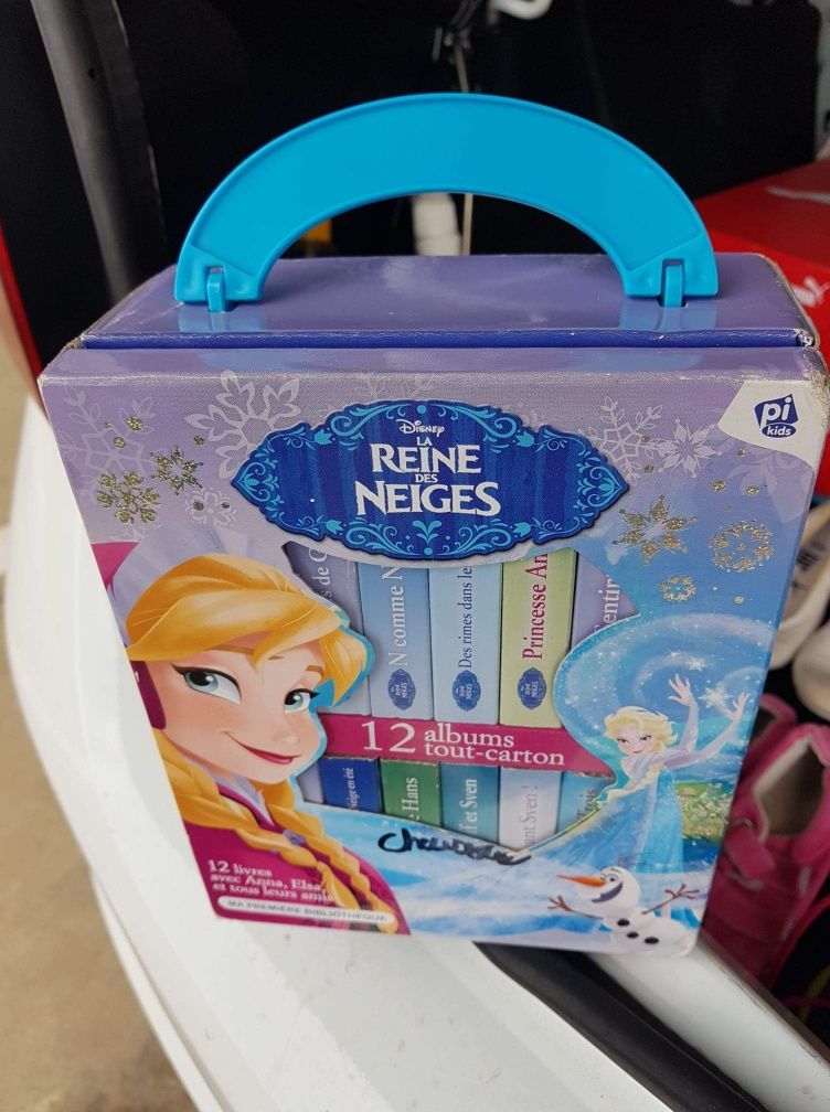 Cărticele Frozen din carton în limba Franceză