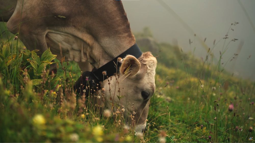 Monitor Gaming curbat LED VA ASUS TUF VG27WQ 27” WQHD 165Hz FreeSync