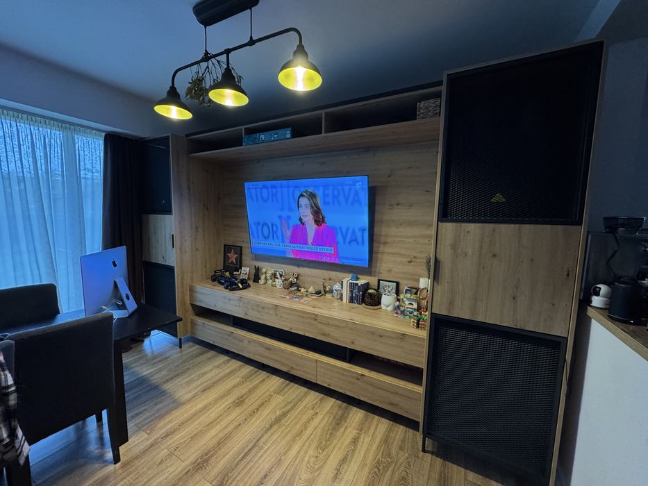 De vânzare: Mobilă de living la comandă – PAL + elemente din fier