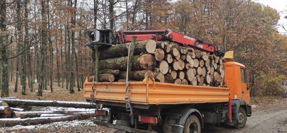 Lemne foc uscate sau verzi