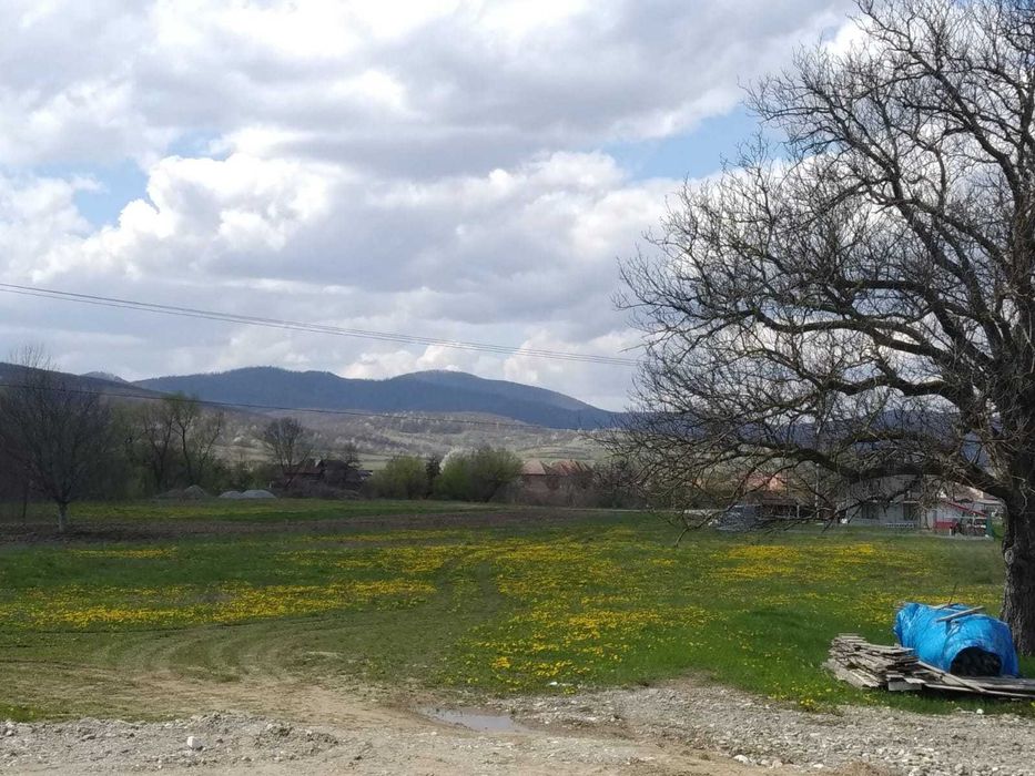 Teren Lunca Bihor langa Stei