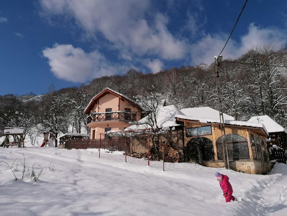Revelion, 1 Decembrie, Crăciun-Cabană