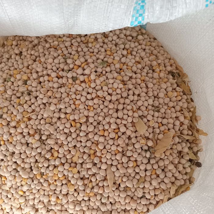 Mazare furajera 2,50lei/kg la sac