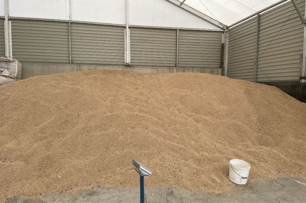 Vand grau de panificatie