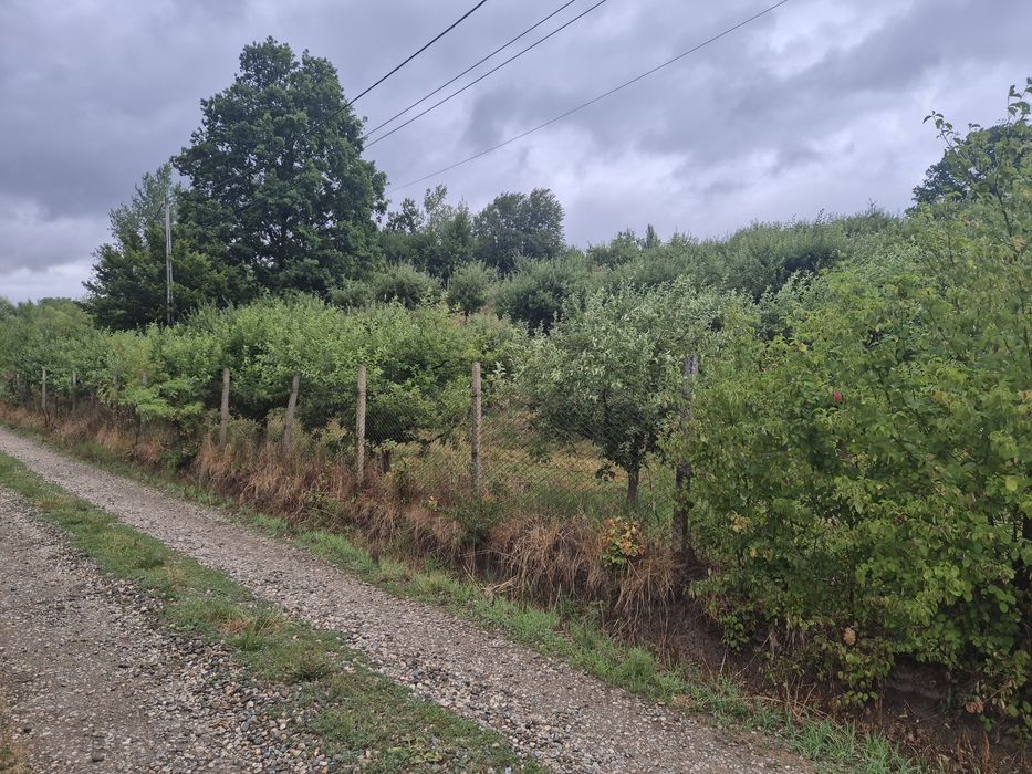 Teren extravilan aproape de Bistriţa