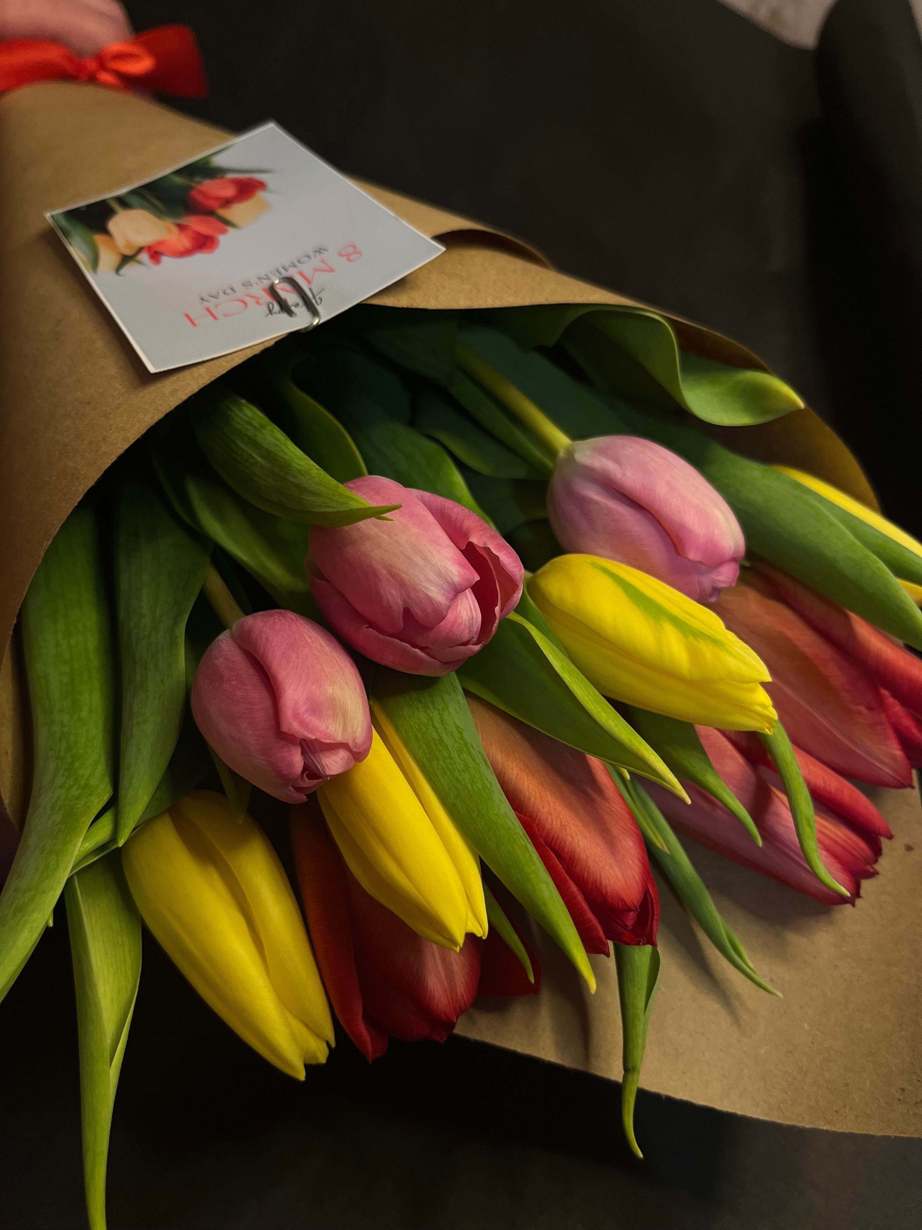 Голландские тюльпаны по низкой цене Павлодар