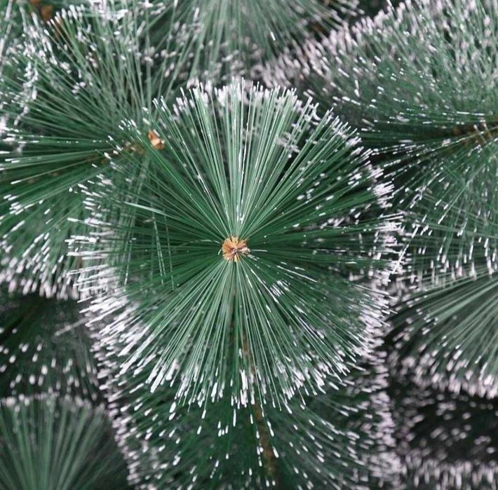 Коледни елхи със сняг и шишарки - ТОП качество и цена !