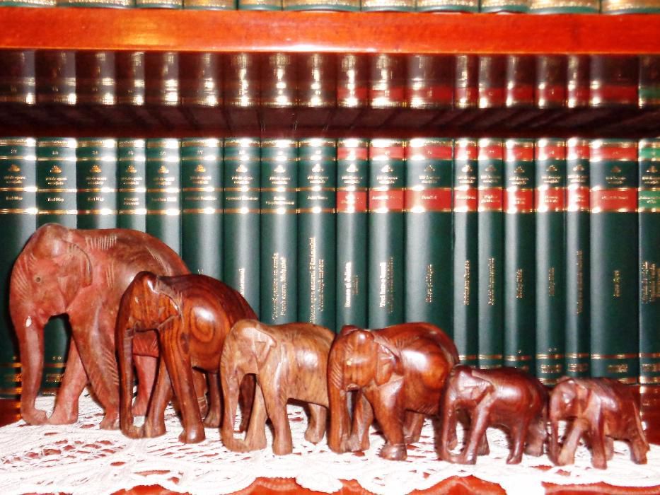 Sculpturi din lemn de esenta tare - Familie de elefanti (6 bucati)