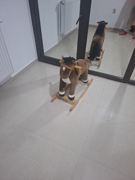 Calut balansoar .Peste 3 ani