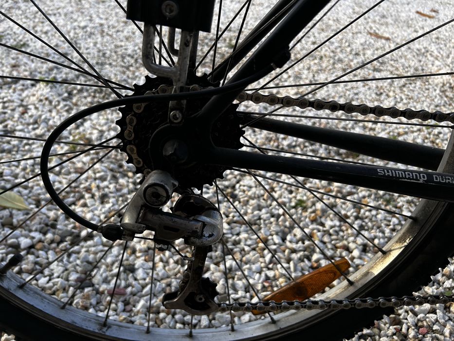 Колела в движение