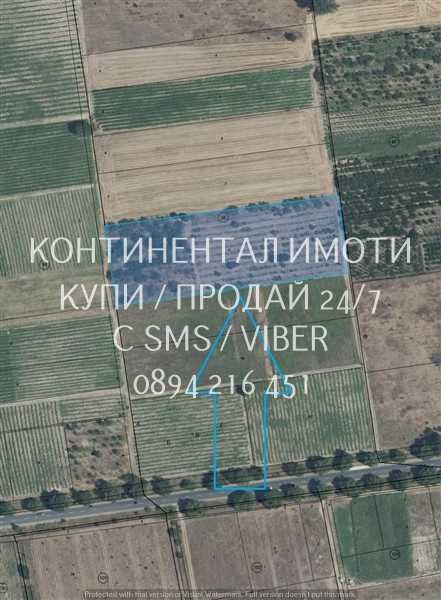 кодл 63089. Овощна градина 11дка с правилна форма, кат. 5-та.