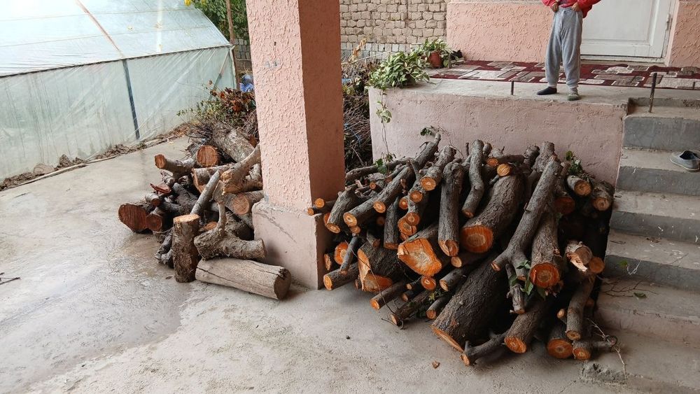 Oʻtin bor bir zil chiqib qoladi