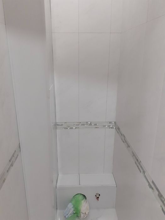 Качественный ремонт