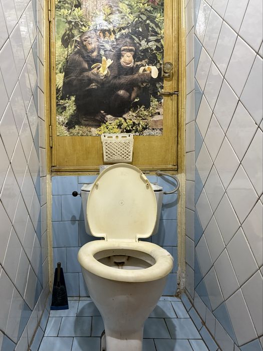 Двухкомнатная 2/3/4 Карасу 1, Корзинка • 62м² •  Балкон 2×6, Школа 209