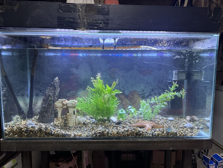 Аквариум на 250 дитров