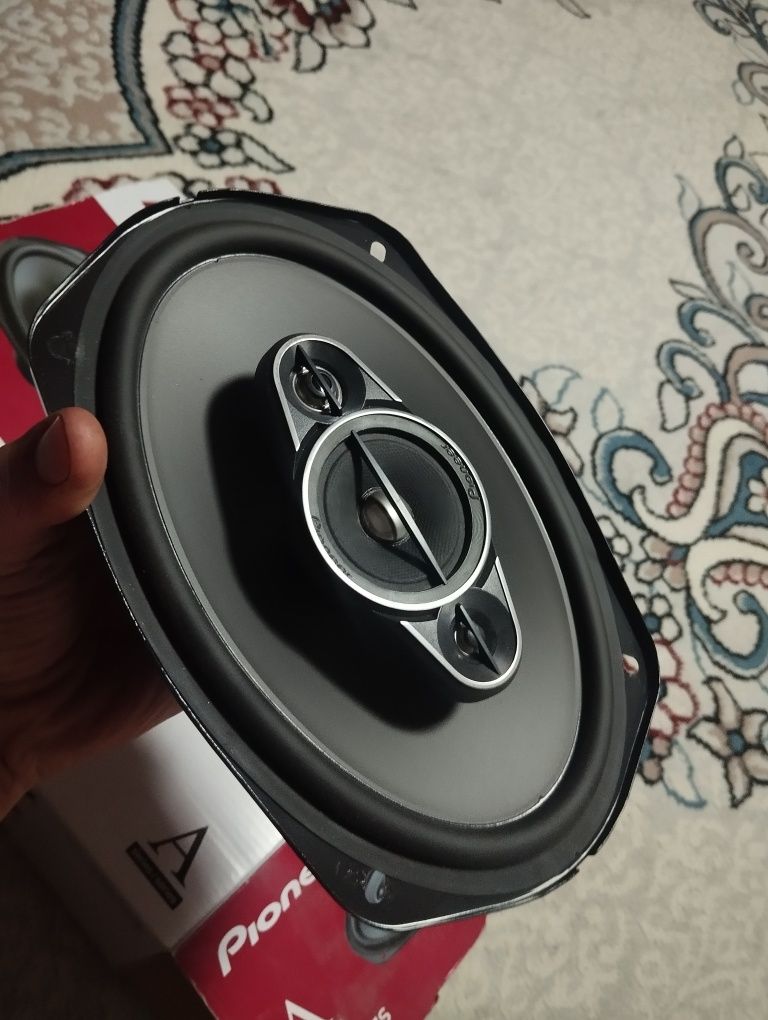 Pioneer kalonka 450 W