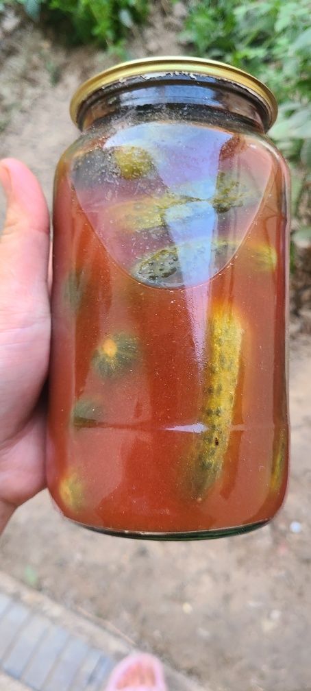 Kampot ikra abyomga yopib beramiz